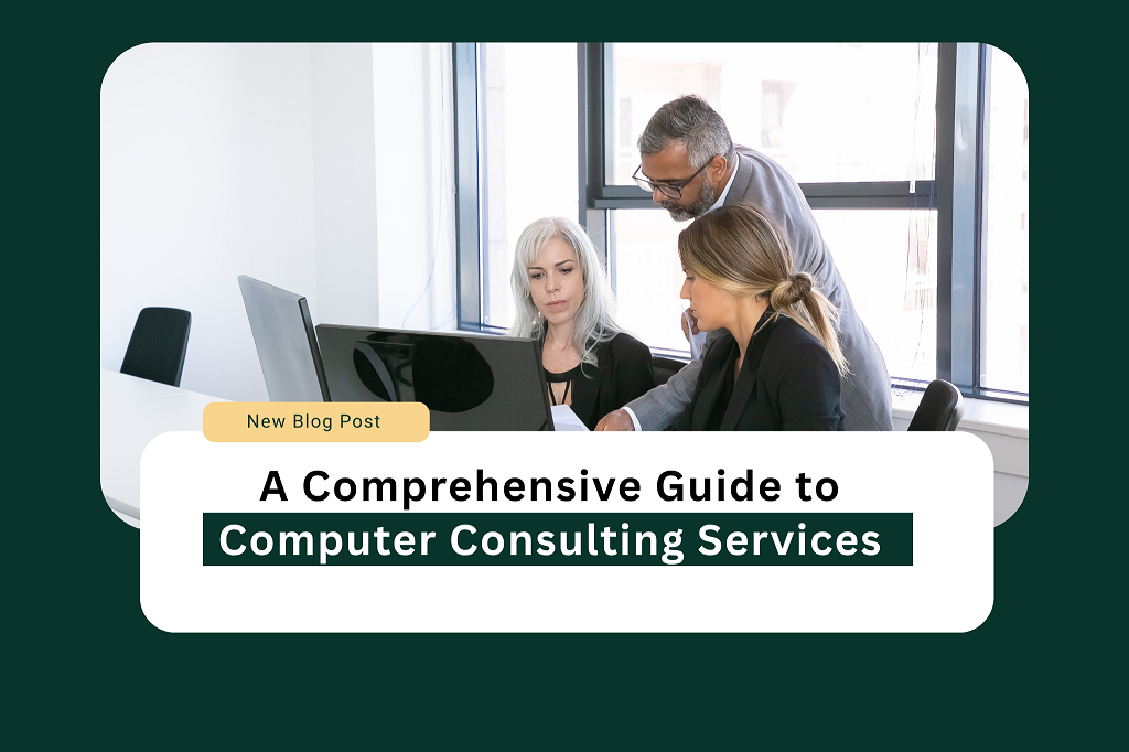 Computer Consulting Services