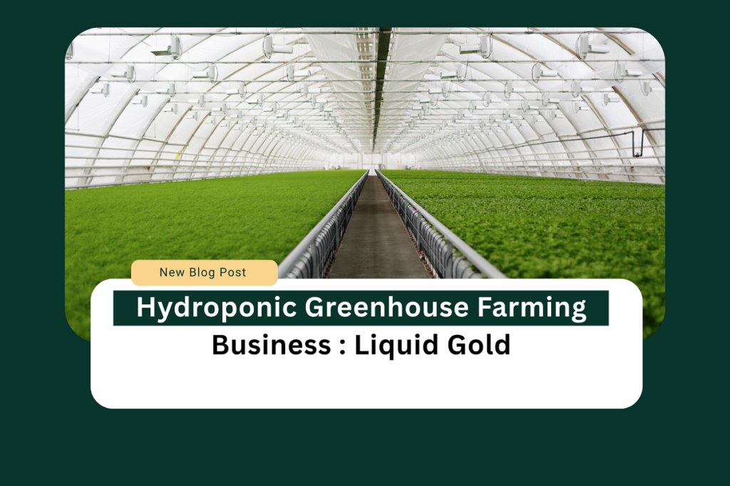 Hydroponic greenhouse farming business blueprint
