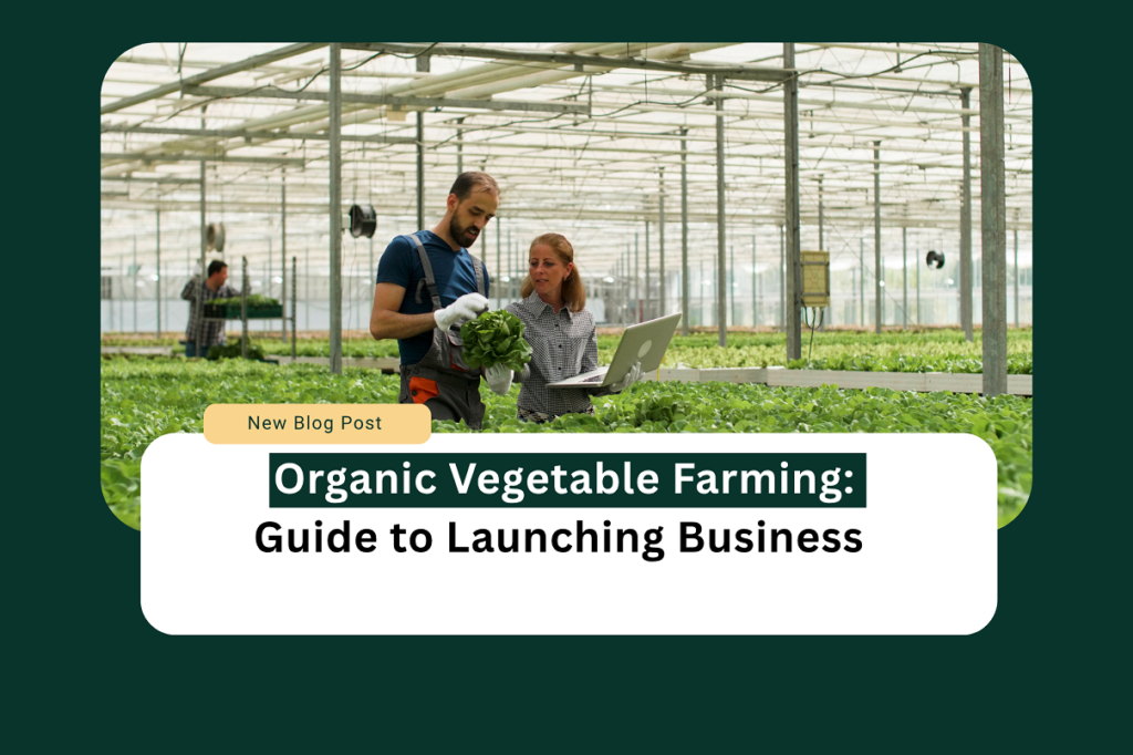 Organic vegetable farming business plan
